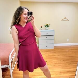 NWT Reiss Berry Burgundy Mini Professional Dress 6